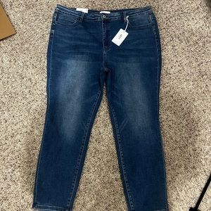 Plus Vervet High Rise Skinny Size 22